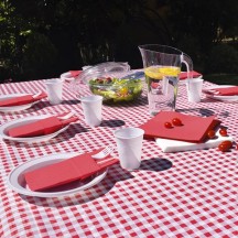 Nappe vichy rouge et blanc papier 25m pas cher – Fiesta Factory