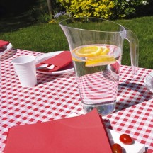 Nappe vichy rouge et blanc papier 25m pas cher – Fiesta Factory