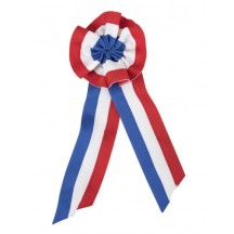 Cocarde tricolore tissu 8x20 cm pas cher – accessoire fête Fiesta Factory