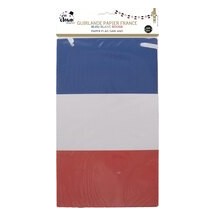 Guirlande papier France 5 m pas cher – déco bleu blanc rouge