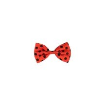 Set Coccinelle avec Bretelles et Lunettes pas cher | Fiesta Factory