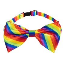 Set Classic Arc-en-ciel pas cher | Lunettes et bretelles festives | Fiesta Factory