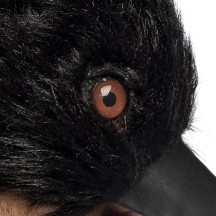 Demi-masque peluche Corneille réaliste adulte pas cher
