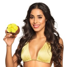 Gobelet noix de coco tropical 40 cl pas cher – Hawaï