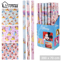 Papier Cadeau Princess 2 x 0,70 m | Fiesta Factory