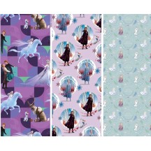 Papier Cadeau Reine des Neiges 2 x 0,70 m | Fiesta Factory