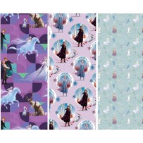 Papier Cadeau Reine des Neiges 2 x 0,70 m | Fiesta Factory