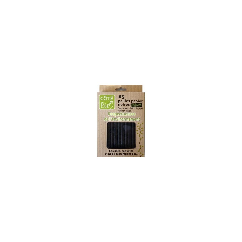 Pailles en papier - lot de 25 - Noir