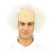 Perruque savant fou grise - 24005 - Perruques