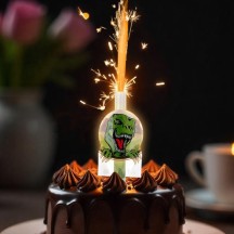 Fontaine magique DINOSAURE 45 sec. Blister card - 45013 - Bougies pour Anniversaire