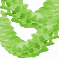 Guirlande Zinnia 4 m Vert Pomme – Décoration Festive - 03201VO - Guirlandes en Papier