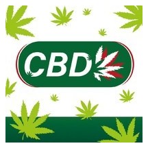 Bob Apéro CBD Vert Adulte - 23889 - Chapeaux