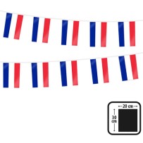 Guirlande 20 Drapeaux France PE 10 m – 20x30 cm - 06030 - Guirlandes à Fanions