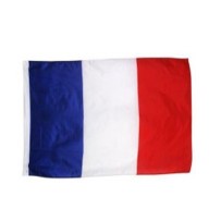Drapeau France 60x90 cm Polyester - 14602 - Drapeaux