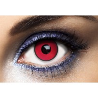 Lentilles Fantaisie Annuelles – Manson Rouge - 55516 - Lentilles fantaisie