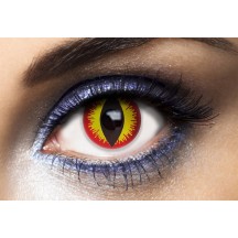 Lentilles Fantaisie Annuelles – Diable - 55520 - Lentilles fantaisie