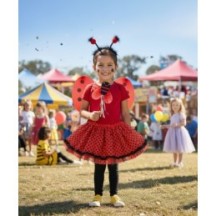 COCCI Set 4 Pièces – Ailes, Tutu, Tiare & Baguette - 47078 - Costumes enfant