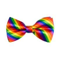 Nœud Papillon Arc-en-ciel - B53130 - Nœuds Papillon