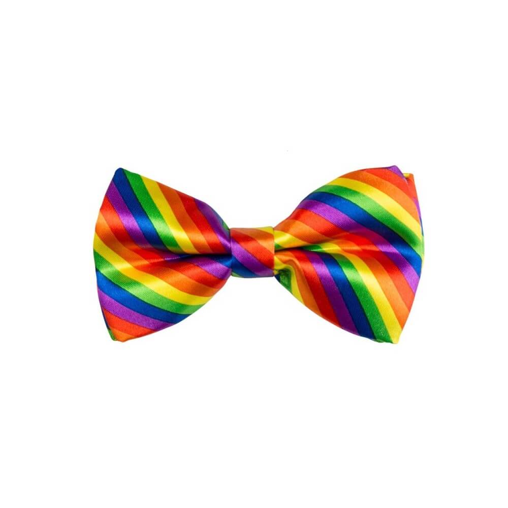 Nœud Papillon Arc-en-ciel - B53130 - Nœuds Papillon