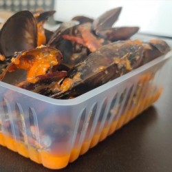 Barquette Charcutière Plastique Translucide 1500 mL (1,5 L) – PS – Lot de 250 - I20023 - Barquettes & Contenants