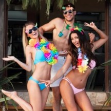 Collier Hawaïen Polyester Multicolore – Fleurs Tropicales - B52415 - Colliers & Colliers de Fleurs