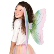 Ailes Charmeine 46 x 62 cm – 4 Couleurs Aléatoires - B52850 - Ailes & Capes