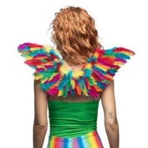 Ailes d’Ange Colourful 35 x 65 cm - B52837 - Ailes & Capes