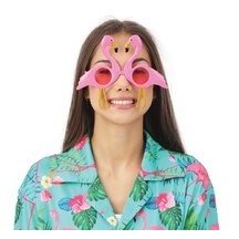 Lunettes Flamant Rose Fantaisie - 10607 - Lunettes fantaisie