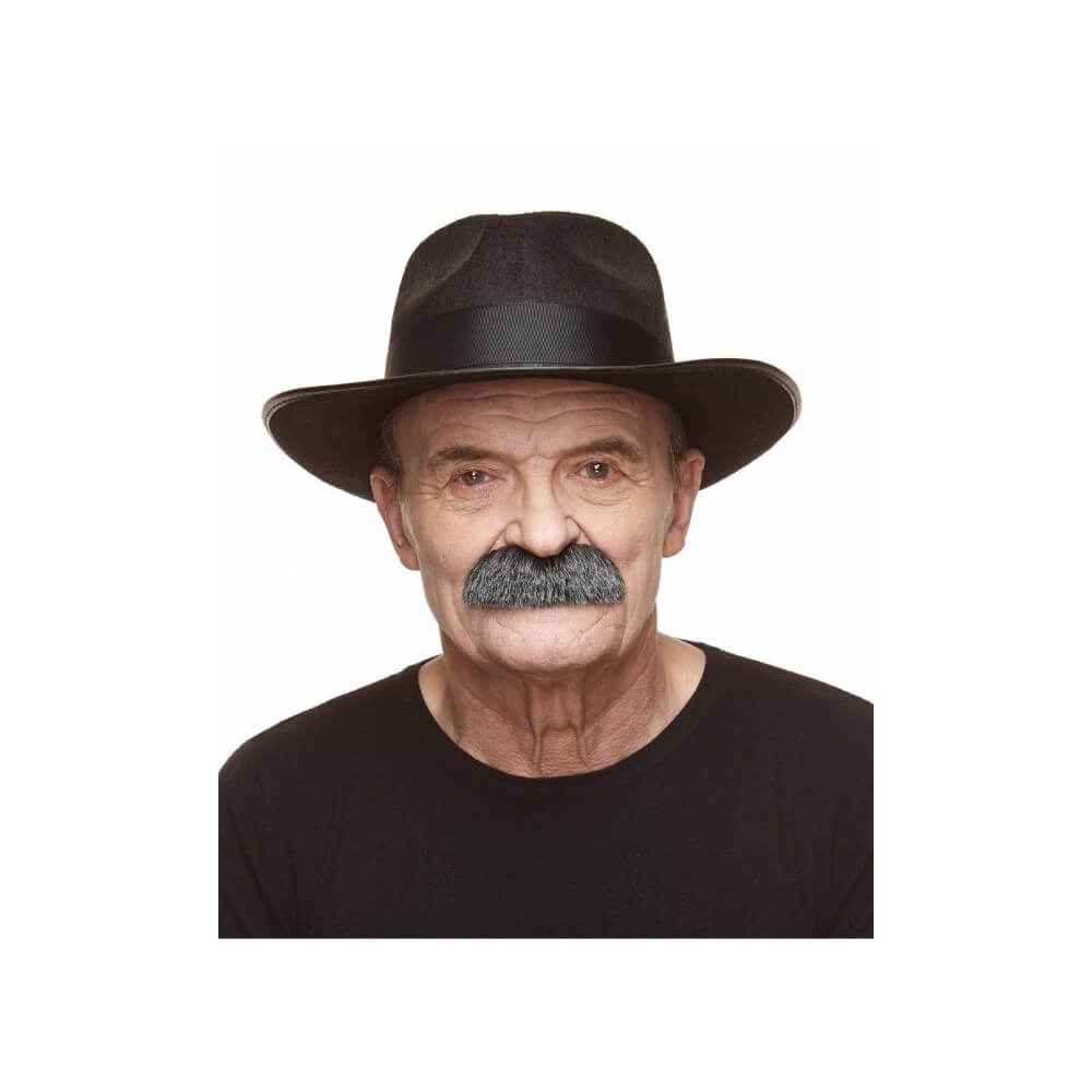 Moustache Brosse Poivre et Sel – Accessoire Déguisement - 26407E - Barbes et moustaches