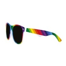 Lunettes Style Blues Brothers Arc-en-Ciel Pas Cher | Fiesta Factory