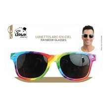 Lunettes Style Blues Brothers Arc-en-Ciel Pas Cher | Fiesta Factory