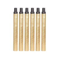 Sarbacanes Or et Noir – Lot de 6 - 24372 - Cotillons