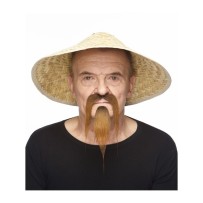 Moustache Longue Style Asiatique Brune pas cher | Fiesta Factory