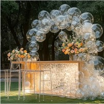 Kit 40 Ballons Bubbles Transparente – Décoration Élégante | Fiesta Factory à Petit Prix