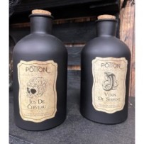 Fiole Potion Sorcière GM 20 cm Halloween Modèle Aléatoire | Fiesta Factory