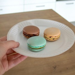 Assiettes Rondes Carton Blanc Ø 18 cm – Paquet de 50 - 51A005 - Assiettes en carton & bois