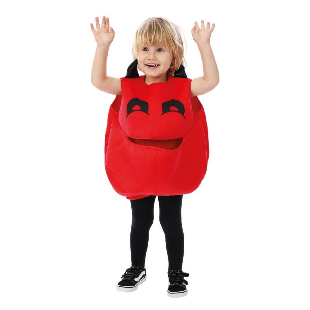 Costume citrouille avec poche à bonbons enfant 3/4 ans | Fiesta Factory