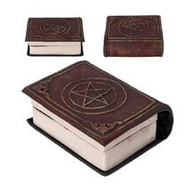 Livre vorace animé Halloween lumineux sonore 14 cm