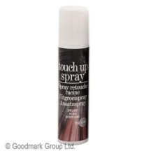 Spray retouche racines 75 ml couleurs assorties -  - Accessoires de déguisement