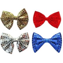 Nœud papillon couleurs assorties pas cher | Fiesta Factory