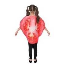 Costume Tomate Enfant Pas Cher – Déguisement Original Fiesta Factory