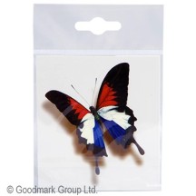 Tatouages supporter 3D France pas cher – Fiesta Factory