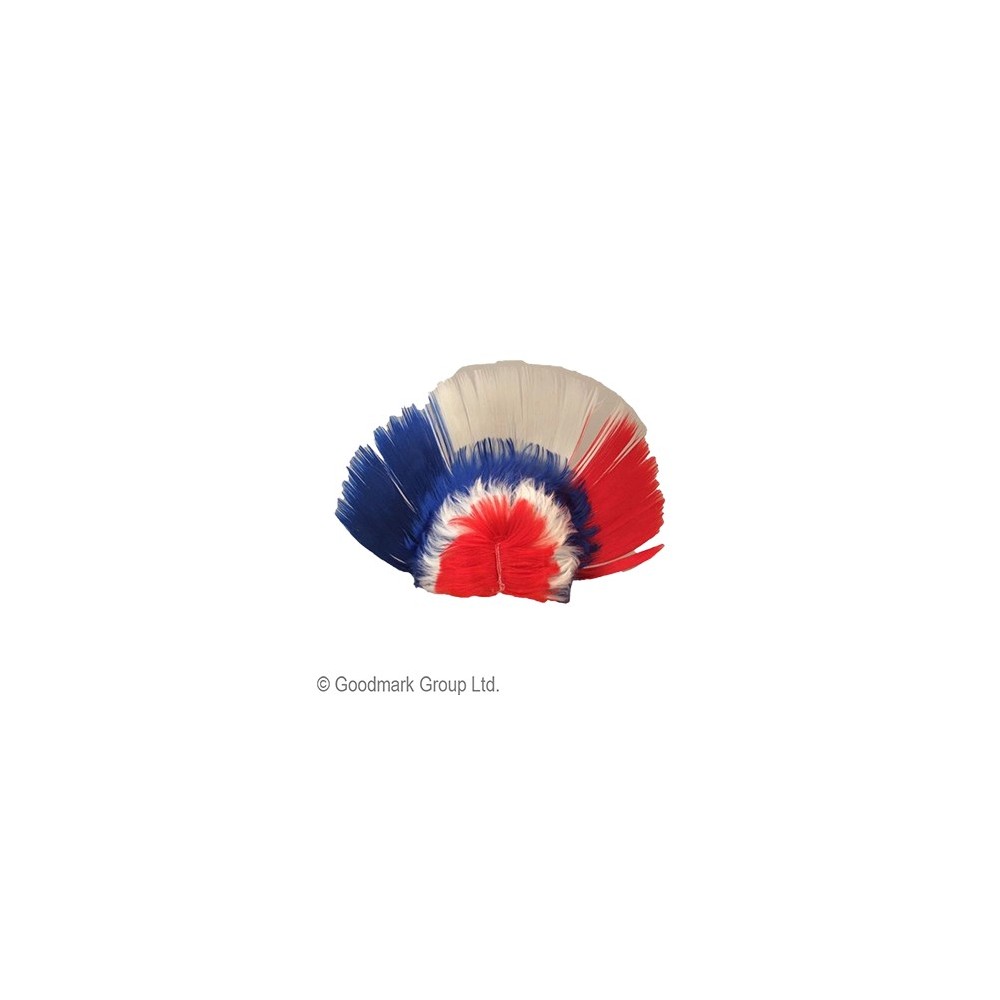 Perruque Mohawk France pas cher – Fiesta Factory à petit prix